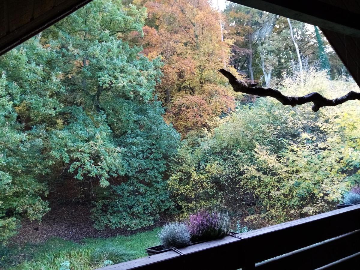Haus Am Wald Klingberg Appartement Buitenkant foto